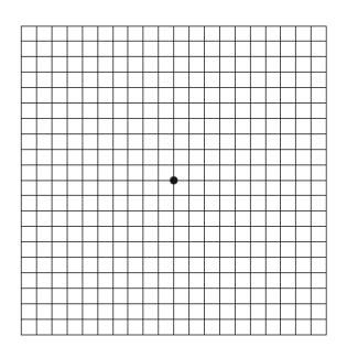 Amsler grid